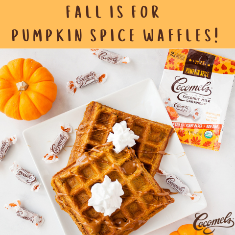 Fall is for Pumpkin Spice Waffles